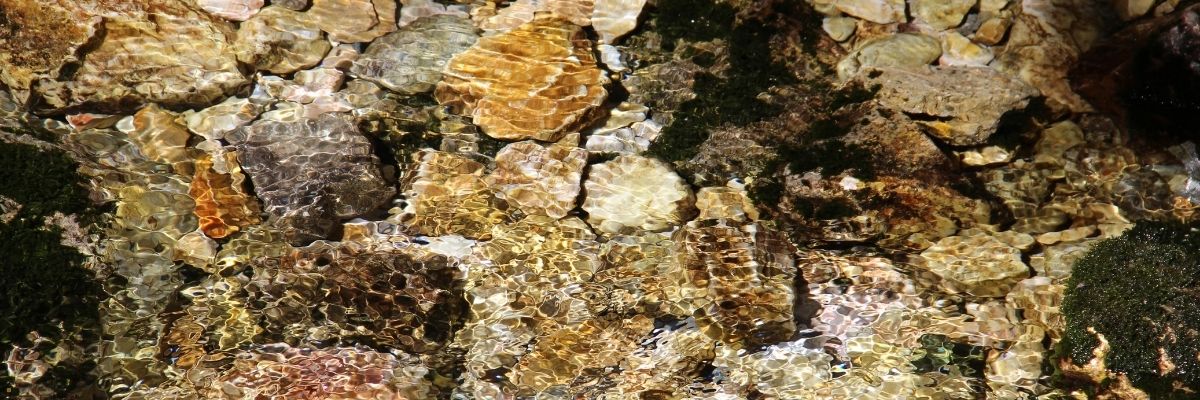 Afet Yönetimi ve Toplumun Hazırlık Seviyesi Gerçekçi Bir Bakış